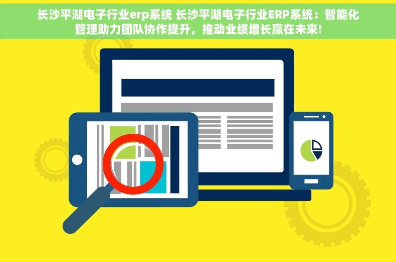 长沙平湖电子行业erp系统 长沙平湖电子行业ERP系统：智能化管理助力团队协作提升，推动业绩增长赢在未来!
