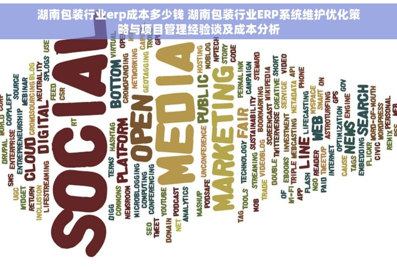 湖南包装行业erp成本多少钱 湖南包装行业ERP系统维护优化策略与项目管理经验谈及成本分析