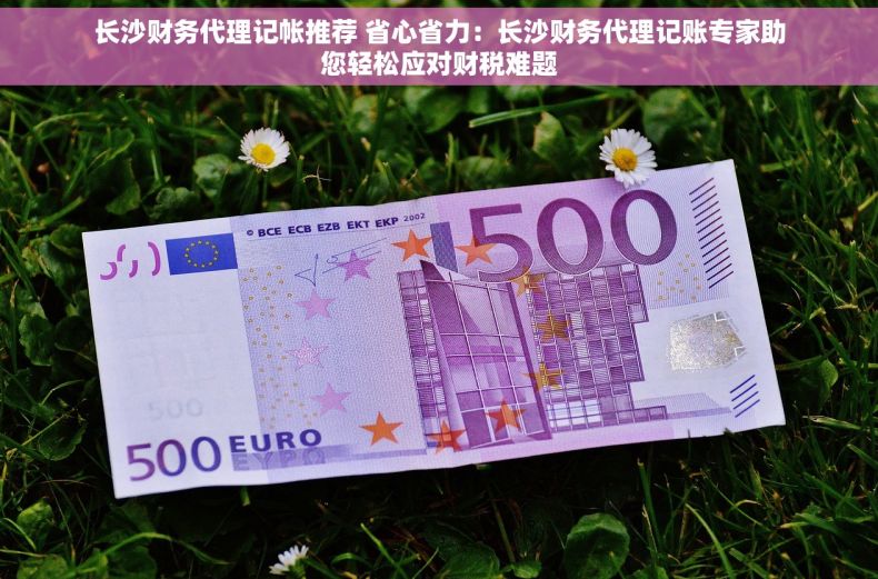 长沙财务代理记帐推荐 省心省力：长沙财务代理记账专家助您轻松应对财税难题