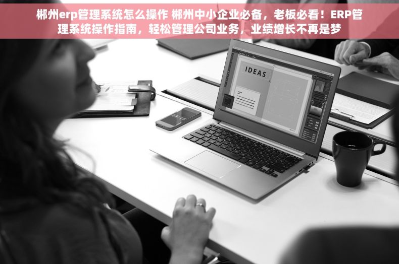 郴州erp管理系统怎么操作 郴州中小企业必备，老板必看！ERP管理系统操作指南，轻松管理公司业务，业绩增长不再是梦