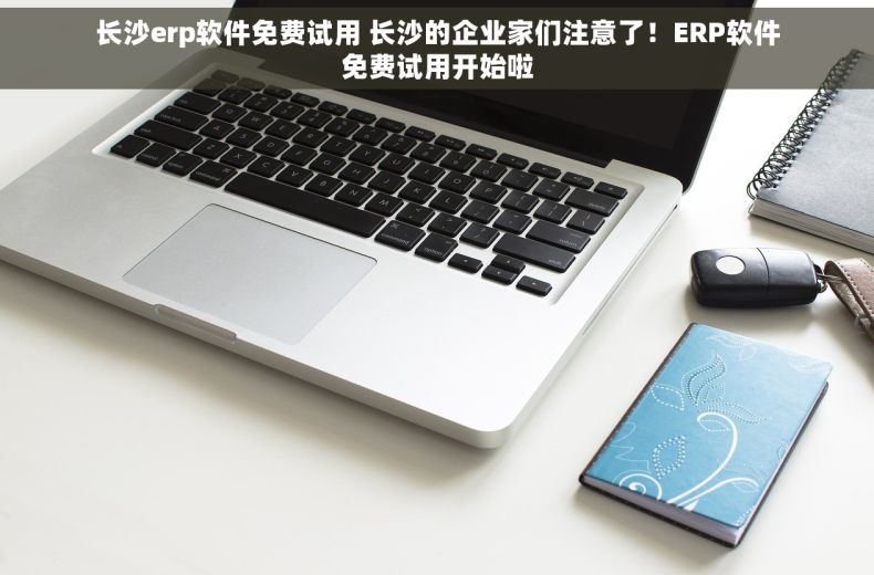 长沙erp软件免费试用 长沙的企业家们注意了！ERP软件免费试用开始啦