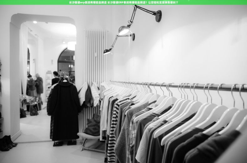 长沙服装erp系统有哪些品牌店 长沙服装ERP系统有哪些品牌店？让您轻松实现销售增长!?