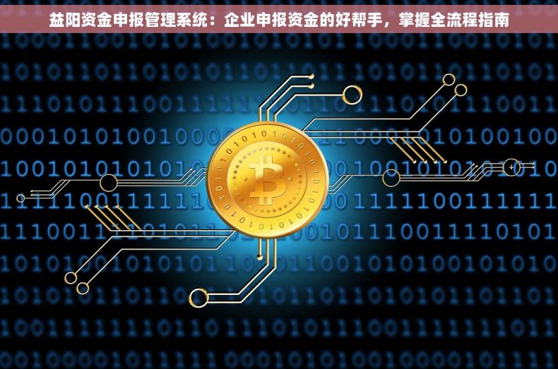益阳资金申报管理系统：企业申报资金的好帮手，掌握全流程指南