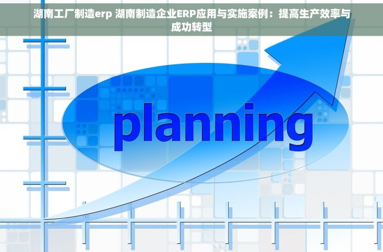 湖南工厂制造erp 湖南制造企业ERP应用与实施案例：提高生产效率与成功转型