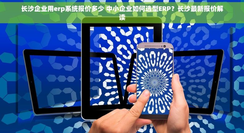 长沙企业用erp系统报价多少 中小企业如何选型ERP？长沙最新报价解读
