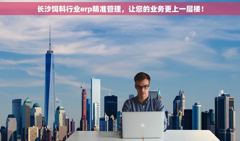 长沙饲料行业erp精准管理，让您的业务更上一层楼！