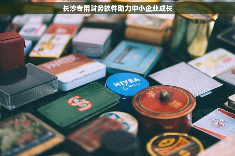 长沙专用财务软件助力中小企业成长