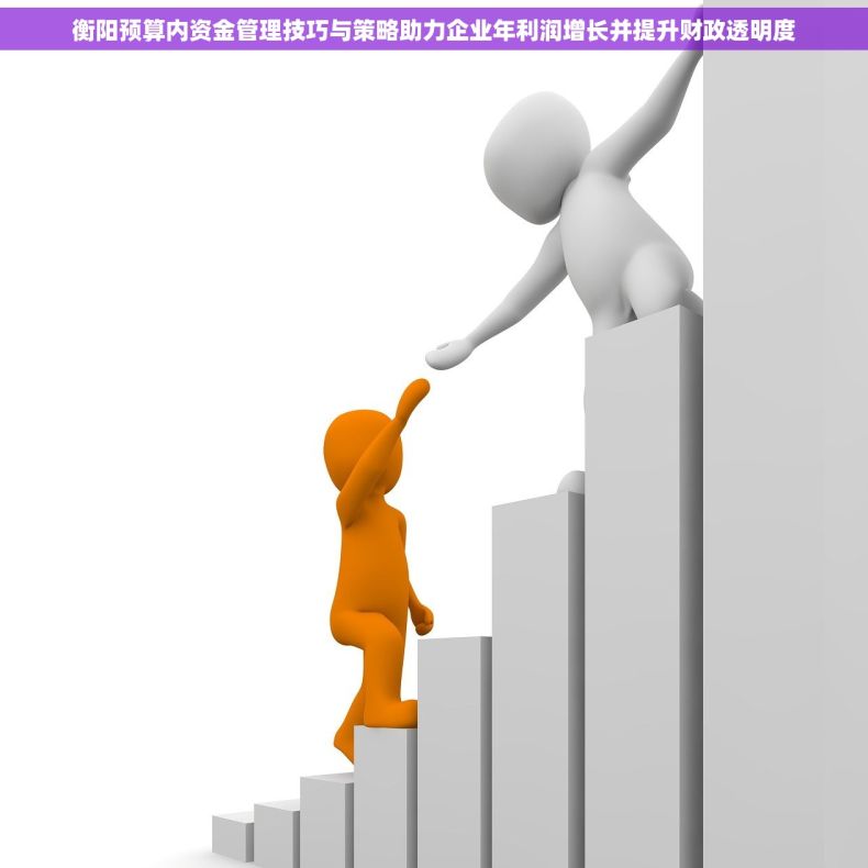 衡阳预算内资金管理技巧与策略助力企业年利润增长并提升财政透明度