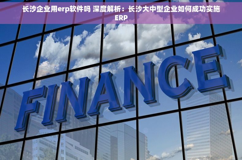 长沙企业用erp软件吗 深度解析：长沙大中型企业如何成功实施ERP