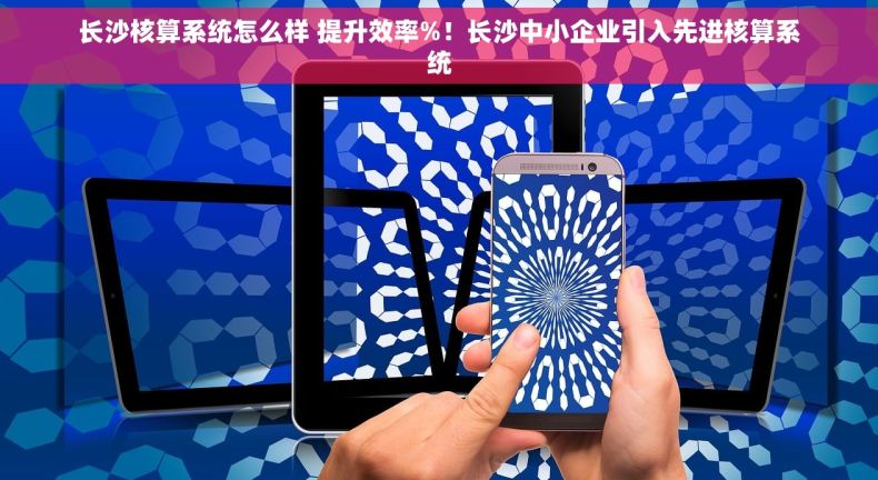 长沙核算系统怎么样 提升效率%！长沙中小企业引入先进核算系统