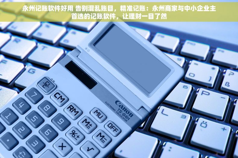 永州记账软件好用 告别混乱账目，精准记账：永州商家与中小企业主首选的记账软件，让理财一目了然