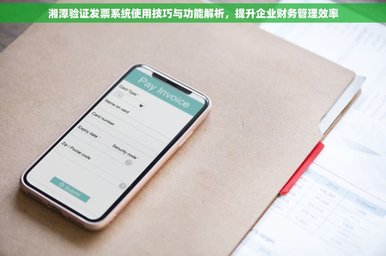湘潭验证发票系统使用技巧与功能解析，提升企业财务管理效率