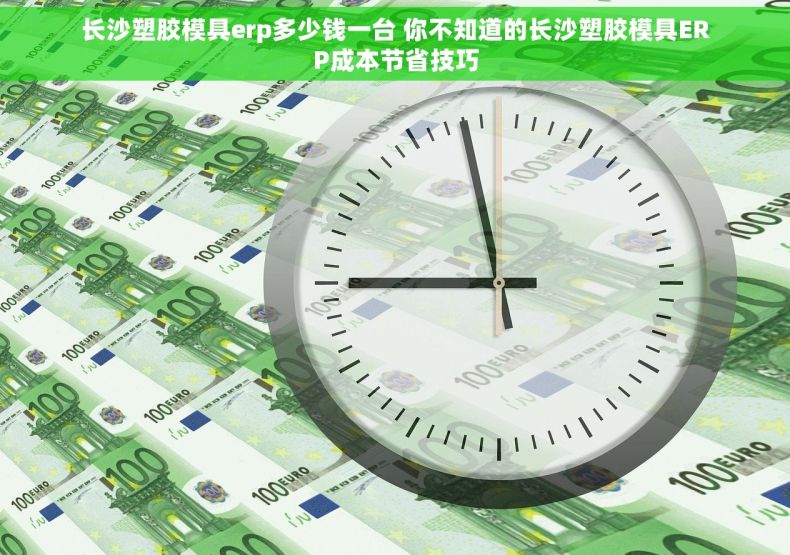 长沙塑胶模具erp多少钱一台 你不知道的长沙塑胶模具ERP成本节省技巧