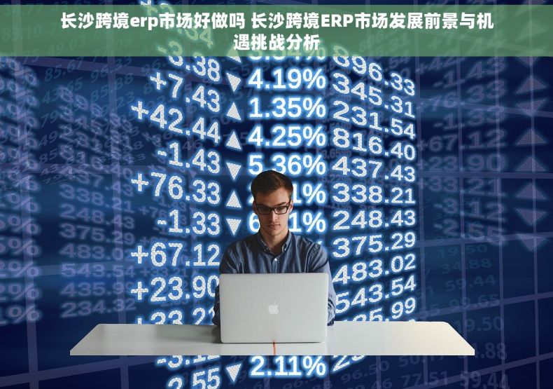 长沙跨境erp市场好做吗 长沙跨境ERP市场发展前景与机遇挑战分析