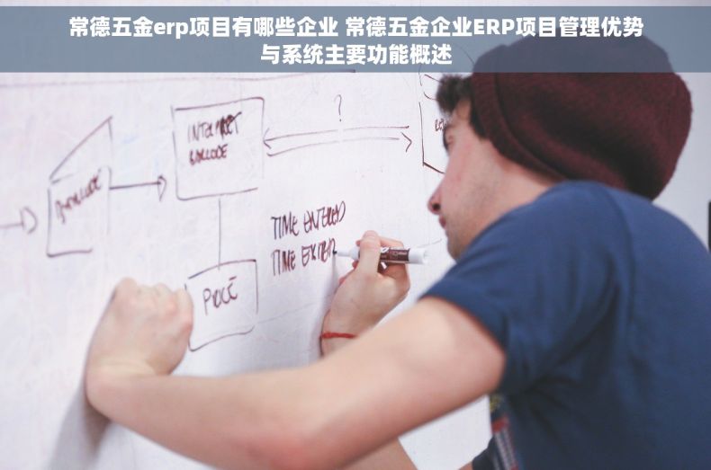 常德五金erp项目有哪些企业 常德五金企业ERP项目管理优势与系统主要功能概述