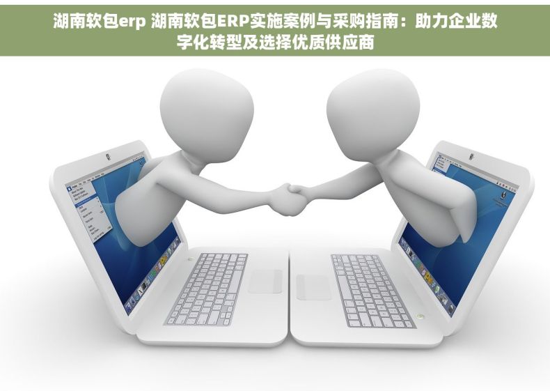 湖南软包erp 湖南软包ERP实施案例与采购指南：助力企业数字化转型及选择优质供应商