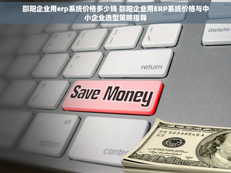 邵阳企业用erp系统价格多少钱 邵阳企业用ERP系统价格与中小企业选型策略指导