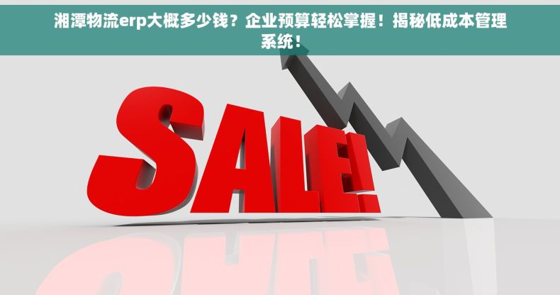 湘潭物流erp大概多少钱？企业预算轻松掌握！揭秘低成本管理系统！