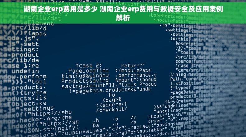 湖南企业erp费用是多少 湖南企业erp费用与数据安全及应用案例解析
