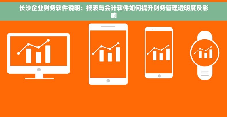 长沙企业财务软件说明：报表与会计软件如何提升财务管理透明度及影响