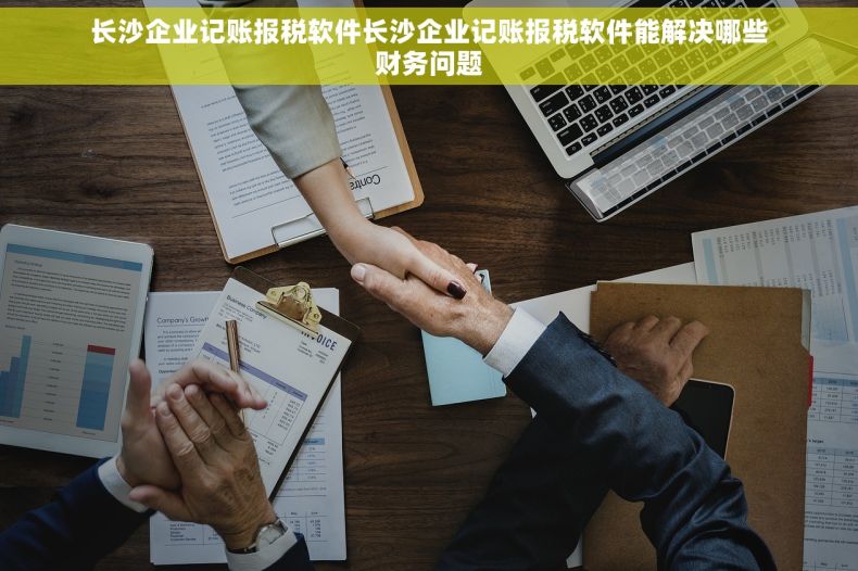 长沙企业记账报税软件长沙企业记账报税软件能解决哪些财务问题