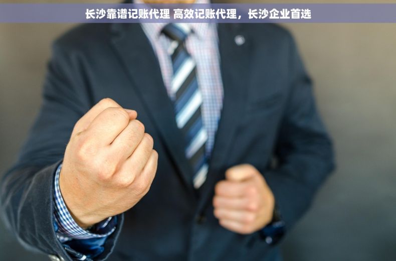 长沙靠谱记账代理 高效记账代理，长沙企业首选