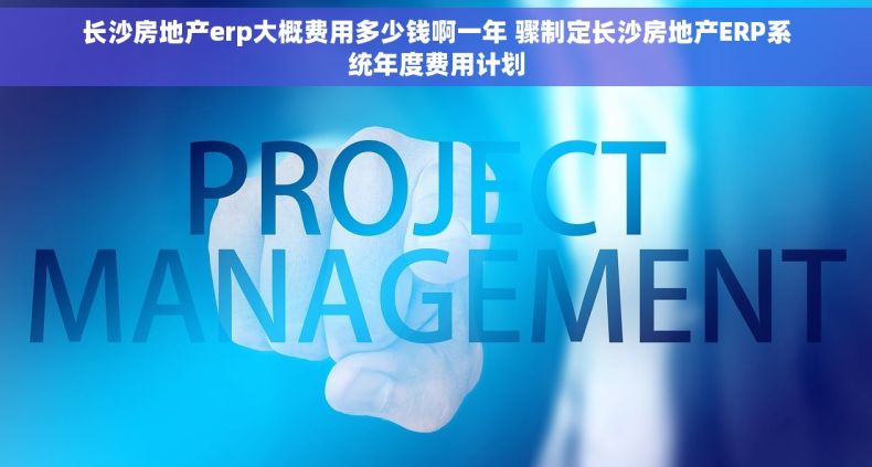 长沙房地产erp大概费用多少钱啊一年 骤制定长沙房地产ERP系统年度费用计划