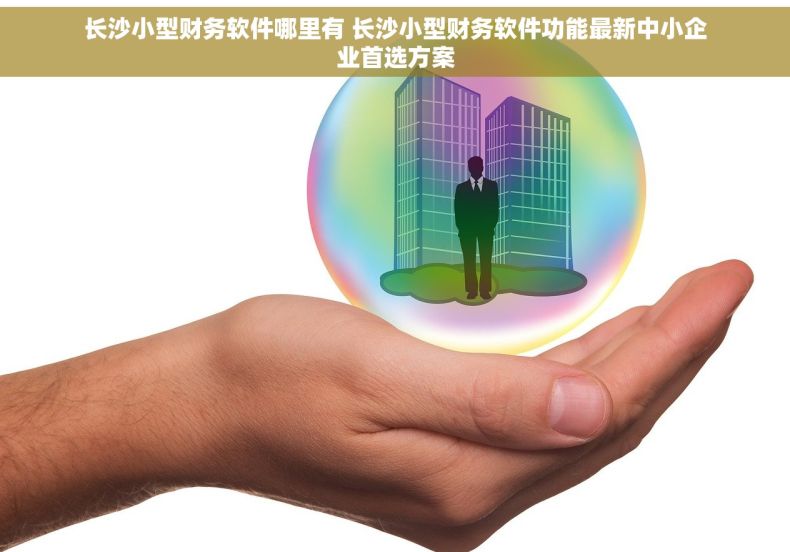 长沙小型财务软件哪里有 长沙小型财务软件功能最新中小企业首选方案