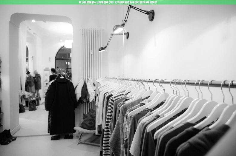 长沙品牌服装erp有哪些牌子的 长沙服装制造业中流行的ERP系统牌子