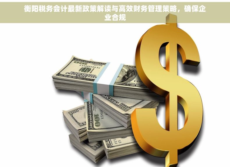 衡阳税务会计最新政策解读与高效财务管理策略，确保企业合规