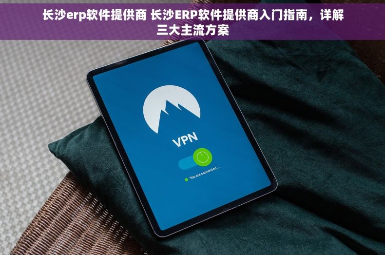 长沙erp软件提供商 长沙ERP软件提供商入门指南，详解三大主流方案