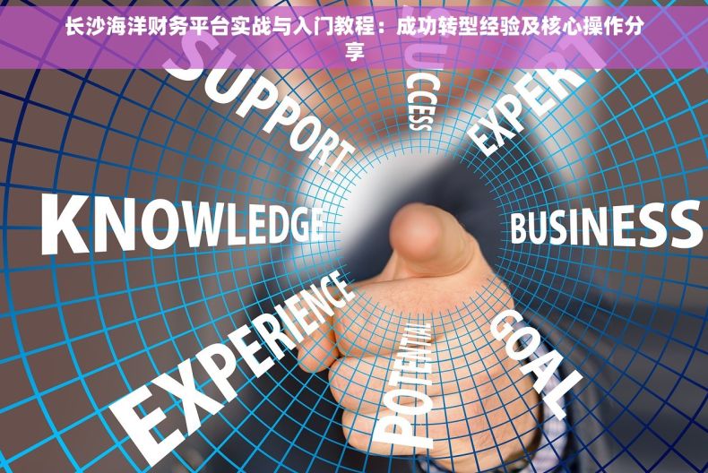 长沙海洋财务平台实战与入门教程：成功转型经验及核心操作分享