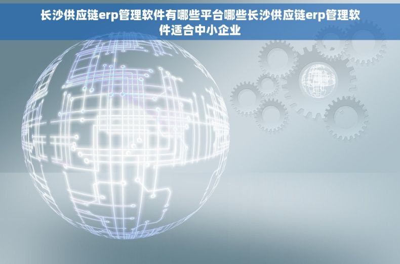 长沙供应链erp管理软件有哪些平台哪些长沙供应链erp管理软件适合中小企业