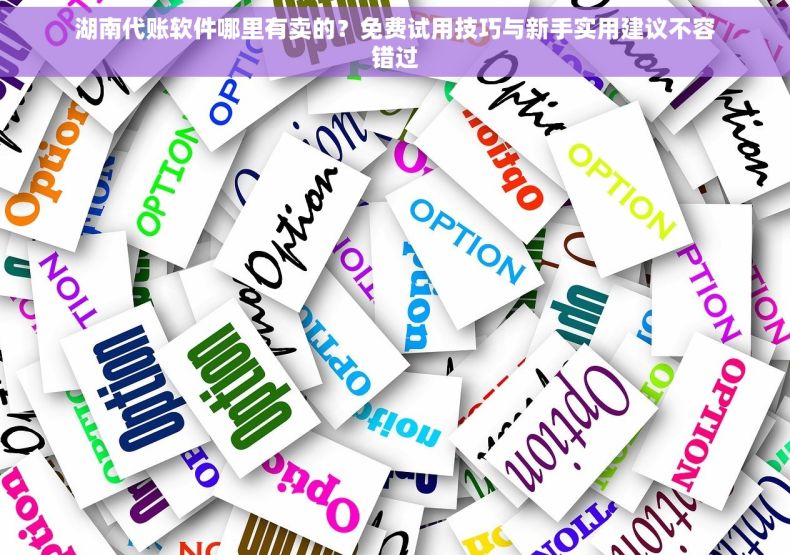 湖南代账软件哪里有卖的？免费试用技巧与新手实用建议不容错过