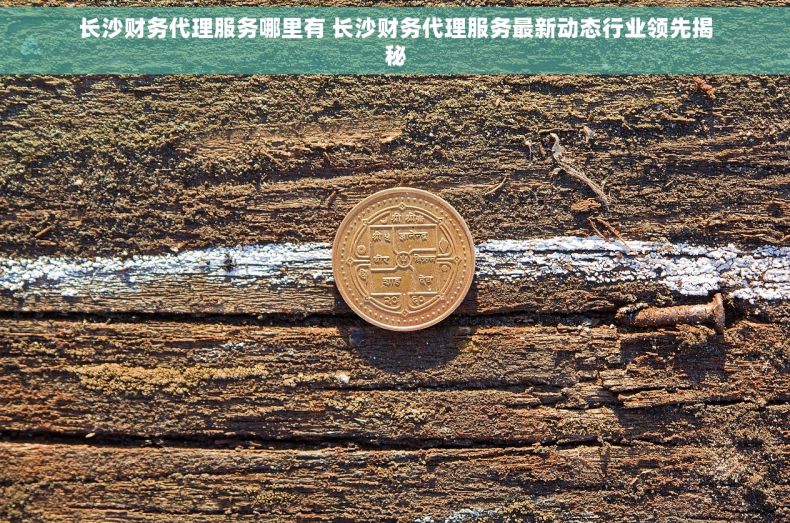 长沙财务代理服务哪里有 长沙财务代理服务最新动态行业领先揭秘
