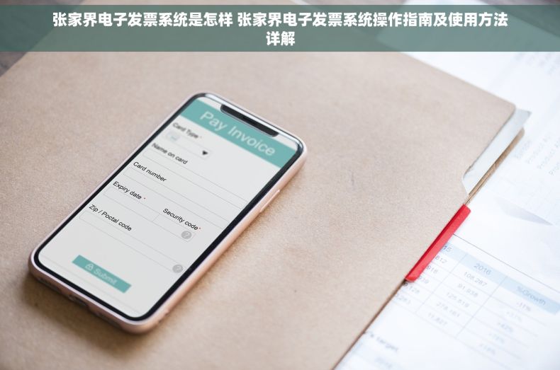 张家界电子发票系统是怎样 张家界电子发票系统操作指南及使用方法详解