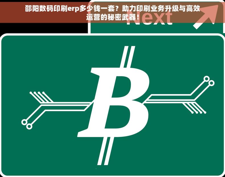 邵阳数码印刷erp多少钱一套？助力印刷业务升级与高效运营的秘密武器！