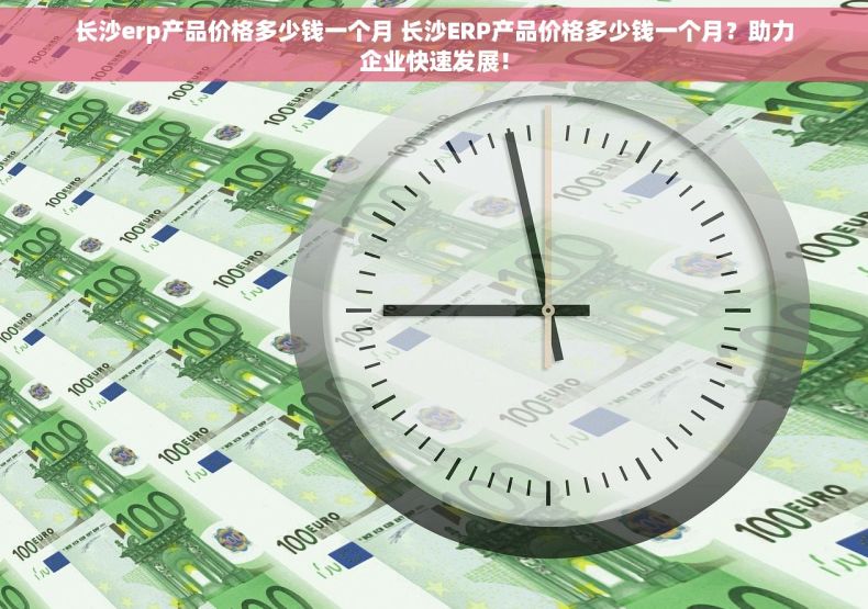 长沙erp产品价格多少钱一个月 长沙ERP产品价格多少钱一个月？助力企业快速发展！