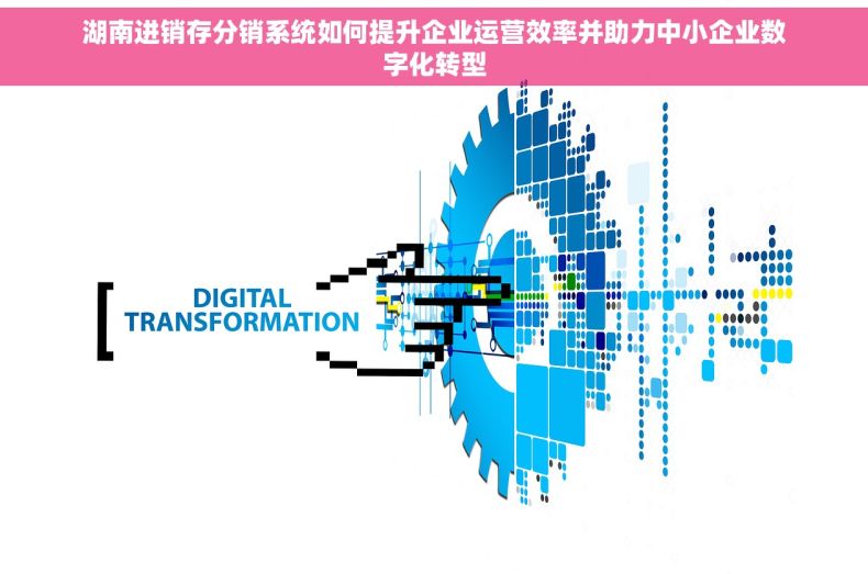 湖南进销存分销系统如何提升企业运营效率并助力中小企业数字化转型