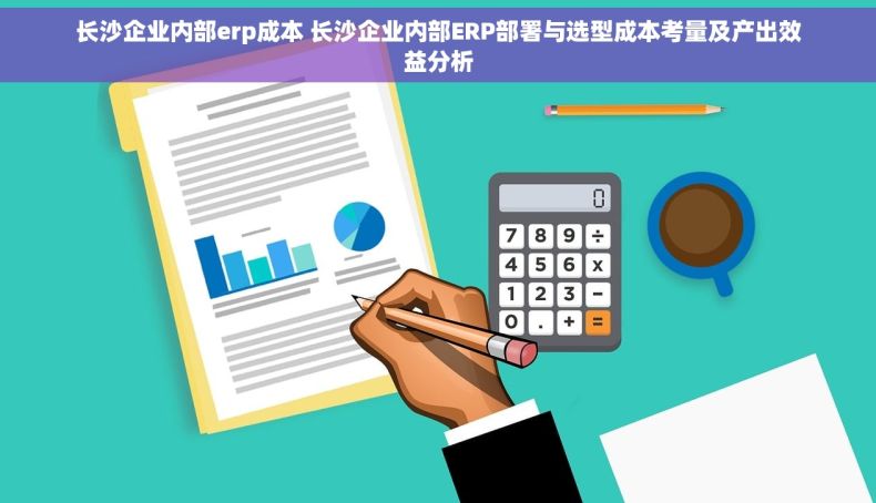 长沙企业内部erp成本 长沙企业内部ERP部署与选型成本考量及产出效益分析