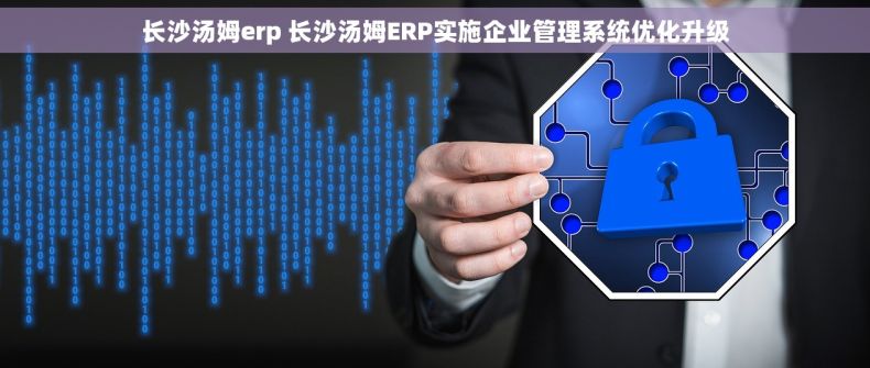 长沙汤姆erp 长沙汤姆ERP实施企业管理系统优化升级