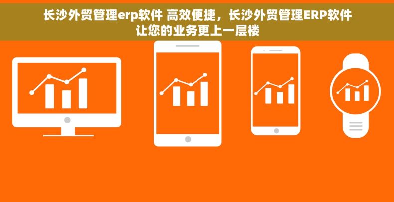 长沙外贸管理erp软件 高效便捷，长沙外贸管理ERP软件让您的业务更上一层楼