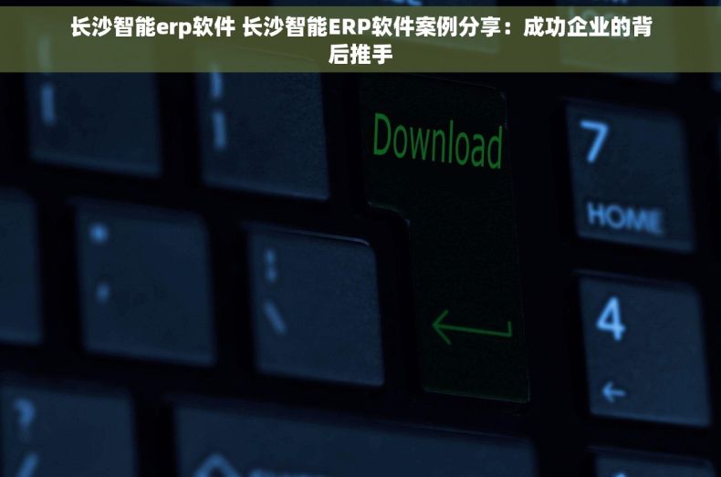 长沙智能erp软件 长沙智能ERP软件案例分享：成功企业的背后推手