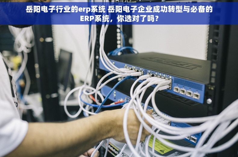 岳阳电子行业的erp系统 岳阳电子企业成功转型与必备的ERP系统，你选对了吗？