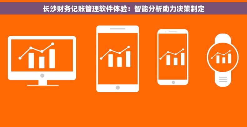 长沙财务记账管理软件体验：智能分析助力决策制定