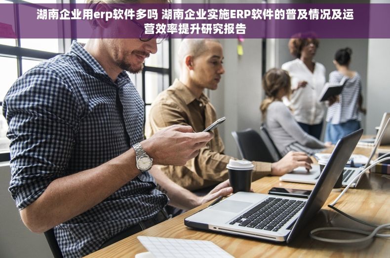 湖南企业用erp软件多吗 湖南企业实施ERP软件的普及情况及运营效率提升研究报告