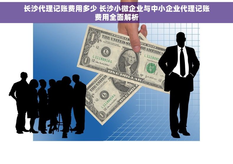 长沙代理记账费用多少 长沙小微企业与中小企业代理记账费用全面解析