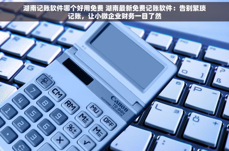 湖南记账软件哪个好用免费 湖南最新免费记账软件：告别繁琐记账，让小微企业财务一目了然
