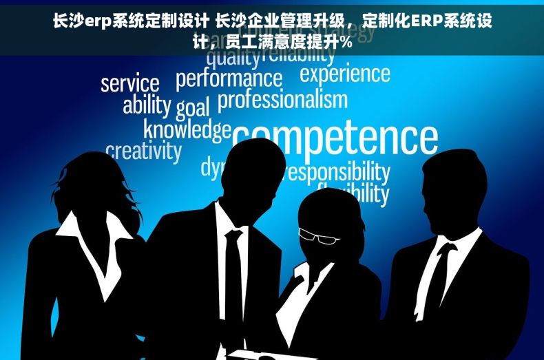 长沙erp系统定制设计 长沙企业管理升级，定制化ERP系统设计，员工满意度提升%