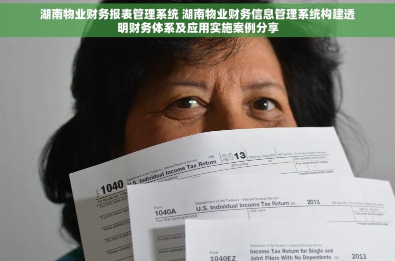 湖南物业财务报表管理系统 湖南物业财务信息管理系统构建透明财务体系及应用实施案例分享